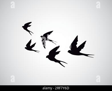 Vektorsilhouette fliegende Vögel, schlucken auf weißem Hintergrund. Tätowierung Stock Vektor