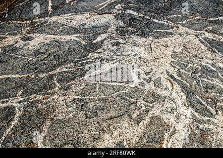 12 24 2014 antikes Barabar Cave Hills granet ston Muster in der Nähe des Dorfes Makhdumpur im Bezirk Jehanabad. Bihar Indien Asien. Stockfoto