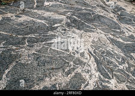 12 24 2014 antikes Barabar Cave Hills granet ston Muster in der Nähe des Dorfes Makhdumpur im Bezirk Jehanabad. Bihar Indien Asien. Stockfoto