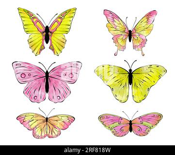 Aquarell, rosa und gelbe Schmetterlinge. Handgezeichnete Abbildung, isoliert auf weißem Hintergrund Stockfoto