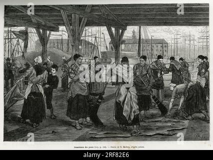 Dessalaison des peaux, par les femmes qui raclent ein großer Coup de Balai les depouille des betes etendues sous les charpentes des halles du Port d'Anvers. Gravure de X.Mellery, pour Illustrator le recit la Belgique, par Camille Lemonnier, publie dans le Tour du Monde, sous la direction d'Edouard Charton ( 1807-1890), 1882, Paris. Stockfoto