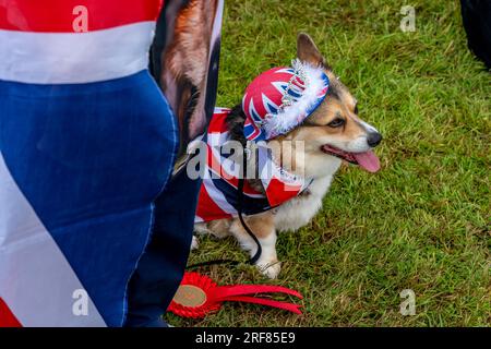 Ein Hundebesitzer und ein Hund nehmen am Wettbewerb „A Dog that is Most Like their Owner“ auf dem Fairwarp Village Fete in Fairwarp, East Sussex, Großbritannien, Teil Stockfoto