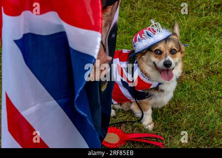 Ein Hundebesitzer und ein Hund nehmen am Wettbewerb „A Dog that is Most Like their Owner“ auf dem Fairwarp Village Fete in Fairwarp, East Sussex, Großbritannien, Teil Stockfoto