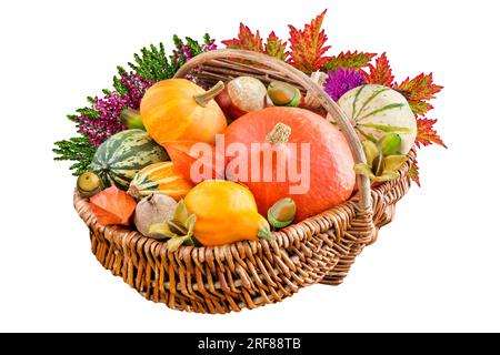 Farbenfrohe, natürliche Herbstdekoration mit Kürbissen, Blumen und Blättern in einem Korb isoliert auf weißem Hintergrund Stockfoto