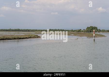 Landschaft mit Salzmarsch, abgegrenzt von Schildern an der Lagune, die in Grado, Gorizia, Friuli, Italien, in hellem Licht aufgenommen wurden Stockfoto