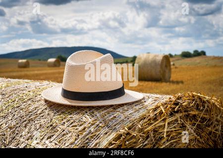 Strohballen mit weißen Strohhüten in der Sommersonne auf einem Hügel in Ungarn. Stockfoto