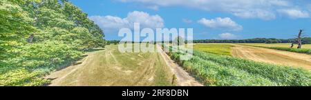 Panoramabild über die landwirtschaftliche Fläche am Waldrand unter blauem Himmel im Sommer Stockfoto