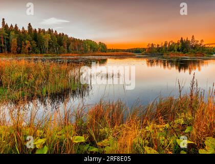 Wunderschöner Sonnenaufgang über dem nördlichen Waldsee Stockfoto
