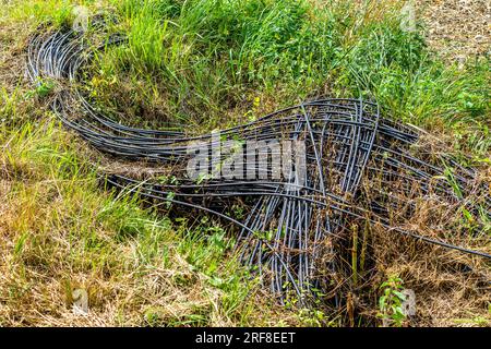 Unbenutzte Glasfaserkabel, die im Straßengraben überwuchert werden – Bossay-sur-Claise, Indre-et-Loire (37), Frankreich. Stockfoto