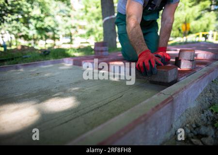 Ein qualifizierter Bauarbeiter legt rote Pflastersteine auf einen Bürgersteig. Stockfoto