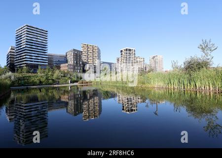 Artenvielfalt in einem Park in Paris, Ile de France, Frankreich. Stockfoto