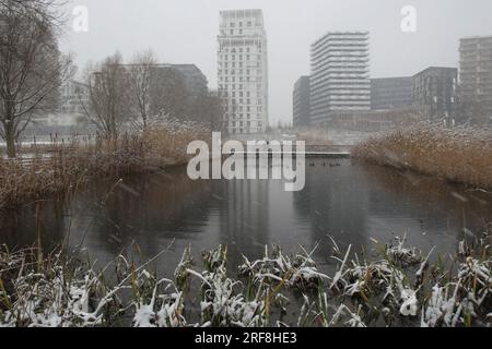 Artenvielfalt in einem Park in Paris, Ile de France, Frankreich. Stockfoto