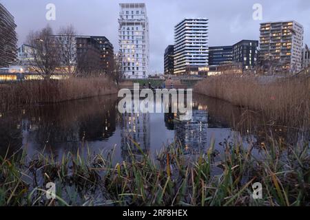 Artenvielfalt in einem Park in Paris, Ile de France, Frankreich. Stockfoto