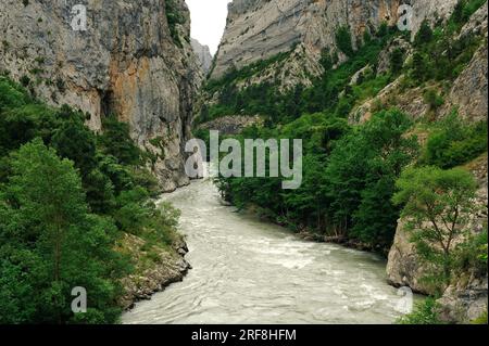 Noguera Pallaresa mittlerer Flusslauf in Collegeats coomb, Lleida, Katalonien, Spanien. Stockfoto