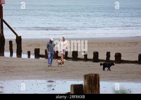 Shanklin, IOW, Großbritannien. 01. August 2023. UK Weather: Besucher von Shanklin auf der Isle of White genießen einen angenehmen Abendspaziergang am Strand. Bildnachweis: PAL News/Alamy Live News Stockfoto