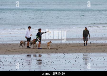Shanklin, IOW, Großbritannien. 01. August 2023. UK Weather: Besucher von Shanklin auf der Isle of White genießen einen angenehmen Abendspaziergang am Strand. Bildnachweis: PAL News/Alamy Live News Stockfoto