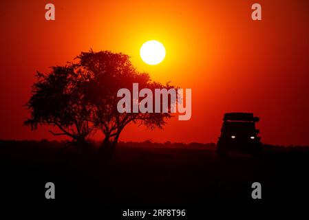 Safari-Auto bei Sonnenaufgang, Wasserloch Klein Namutoni, Etosha-Nationalpark, Namibia Stockfoto