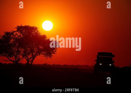 Safari-Auto bei Sonnenaufgang, Wasserloch Klein Namutoni, Etosha-Nationalpark, Namibia Stockfoto