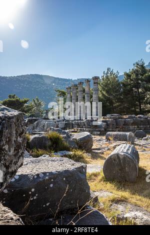 Ruinen der antiken Stadt Priene, ionische Säulen des Tempels von Athena Polias, Söke, Aydın, Türkei. Stockfoto