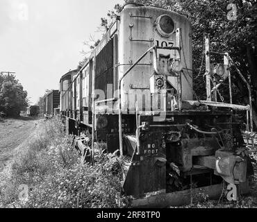 Alte verlassene Lokomotivzüge auf dem Lande Stockfoto