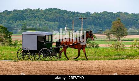 Ein Seitenblick auf ein amish-Pferd und einen Buggy, der an einem sonnigen Tag auf einer Landstraße vorbeifährt Stockfoto