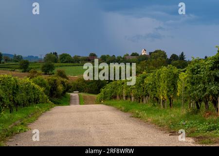 Blick über Weinberge und Wiesen vor einem Gewitter, weißer Turm im Hintergrund Stockfoto
