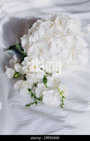 Wunderschöne weiße Freesia- und Hydrangea-Blumen auf weißem Hintergrund bei Morgensonne. Selektiver Fokus. Stockfoto