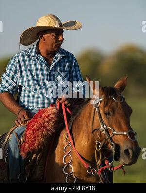 Ein Pantaneiro-Cowboy auf seinem Pferd, aus Nord-Pantanal, Brasilien Stockfoto