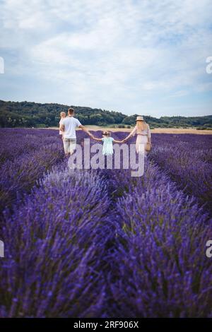 Eine Familie geht auf einem Lavendelfeld spazieren. Vater und Mutter mit zwei Töchtern, Rückblick Stockfoto