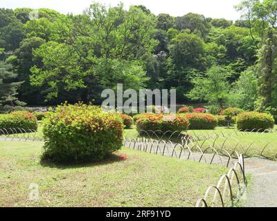 Gewundene Wege führen durch einen üppigen Rasen mit Azaleen hinunter zum Südteich auf dem Gelände des Meiji Jingu Innengarten (Gyoen), Yoyogi, Tokio. Stockfoto