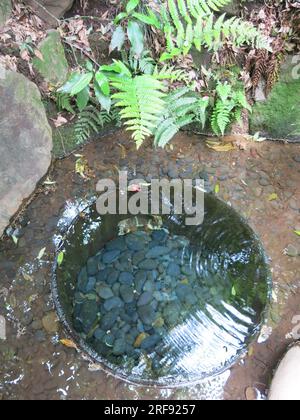 Der Kiyomasa no Ido Well im Meiji-Schrein ist berühmt für seine konstante Temperatur, Wasserqualität und geniale versenkte Konstruktion. Stockfoto