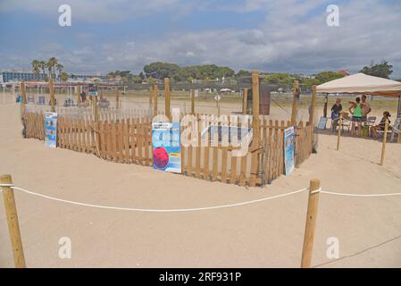 Blick auf das eingezäunte Sandnest mit Wärme- und Bewegungsüberwachung, wo eine Karettschildkröte 119 Eier am Strand von Vendrell legte. Eine Karettschildkröte (Caretta caretta), die ernsthaft vom Aussterben bedroht ist, kam am 2. Juli am Strand von Vendrell (Tarragona) an, um 119 Eier in einem Nest im Sand zu deponieren. Mitglieder des CRAM (Center for the Conservation and Recovery of Marine Animals) nahmen 20 Eier aus, weil ein Inkubator benötigt wurde, und die restlichen Eier im Nest werden 24 Stunden lang bewacht, bis sie schlüpfen, von DER GEVENGRUPPE (Vendrell ecologists Group) Und Freiwillige anonym während des 2. monts Stockfoto