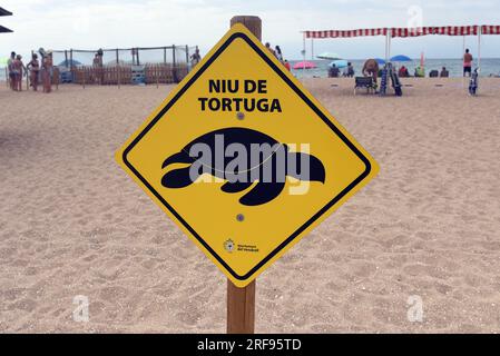 31. Juli 2023, Vendrell, Tarragona, Spanien: Ein Schild warnt davor, dass es in der Gegend Schildkrötennester am Strand von Vendrell gibt. Eine Karettschildkröte (Caretta caretta), die ernsthaft vom Aussterben bedroht ist, kam am 2. Juli am Strand von Vendrell (Tarragona) an, um 119 Eier in einem Nest im Sand zu deponieren. Mitglieder des CRAM (Center for the Conservation and Recovery of Marine Animals) nahmen 20 Eier aus, weil ein Inkubator benötigt wurde, und die restlichen Eier im Nest werden 24 Stunden lang bewacht, bis sie schlüpfen, von DER GEVENGRUPPE (Vendrell ecologists Group) Und Freiwillige anonym während der zwei Monate in Stockfoto