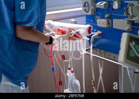 Hämodialyse in der Nephrologie-Abteilung eines Tagesspitals, Krankenschwester mit Dialysator. Stockfoto