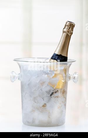 Eine Flasche Champagner in einem Eiskübel. Stockfoto