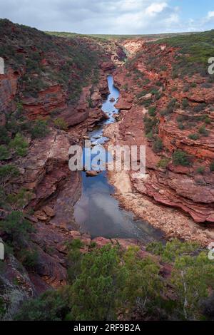 Z-Biegung Aussichtspunkt über die Murchison River Gorge im Kalvance-Nationalpark in Westaustralien Stockfoto