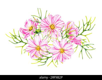 Cosmos Blumen Bouquet isoliert auf weißem Hintergrund. Handgezeichnete Aquarell-Kosmos-Blumen. Blühen für Verpackungsdesign, Karten, Einladungen usw. Stockfoto