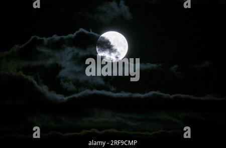 Berlin, Deutschland. 01. Aug. 2023. Der Vollmond ist am Himmel über Berlin zu sehen. Kredit: Britta Pedersen/dpa/Alamy Live News Stockfoto