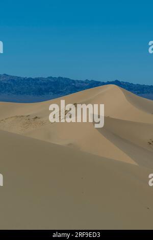 Malerischer Blick auf die Sanddünen der Hongoryn Els Sanddünen in der Wüste Gobi in der südlichen Mongolei. Stockfoto