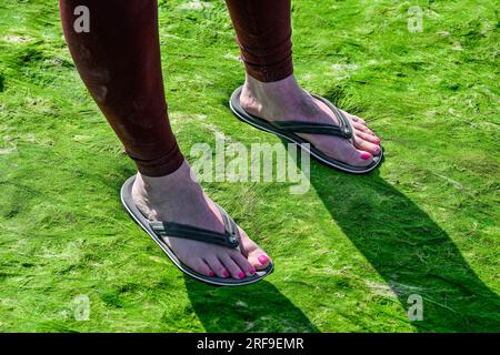 Frauenfüße mit Flip-Flop-Sandalen auf Algen, mit Seetang überdachter Strand Stockfoto