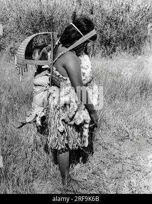 Kalifornien: ca. 1930 indische Frauen trugen ihre Babys bei ihrer täglichen Arbeit mit sich. Die Frauen trugen einen kurzen Rock aus einer Vorder- und einer Rückenschürze, die aus Schnur, Tulpen oder Rinden- oder Buchenlederstreifen bestand. Manchmal wurde Hirschleder als Rückgrat benutzt. Bei kaltem Wetter wurden die Felle über die Schulter getragen. Stockfoto