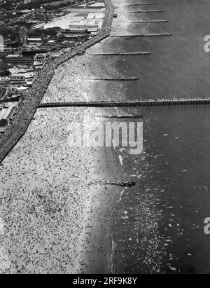 New York, New York: 4. Juli 1936 ein Blick aus der Vogelperspektive auf die Menschenmassen, die Coney Island am 4. Juli in Brooklyn überfielen. Stockfoto