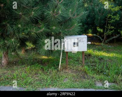 Elektrizitätszähler im Garten. Industrie und Natur. Gegenkonzept. Eisengerät unter Palmen Stockfoto