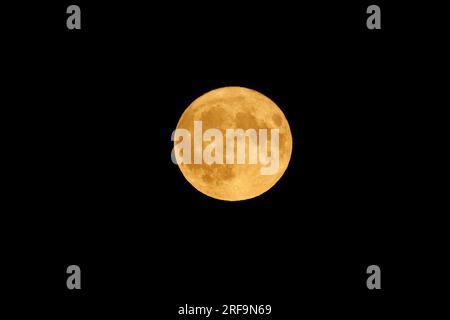 Berlin, Deutschland. 01. Aug. 2023. Am Abend kann man den Vollmond über dem Tempelhofer Feld sehen. Kredit: Carsten Koall/dpa/Alamy Live News Stockfoto