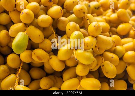 Nahaufnahme von frischen Datteln im Obstgarten Stockfoto
