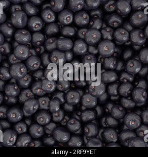 açaí Acai Berry aus dem Amazonas. Perfektes Acai. Stockfoto