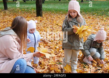 Mutter und ihre Töchter sammeln Blätter im Herbstpark. Eine große Familie, die Zeit miteinander verbringt. Horizontales Foto Stockfoto