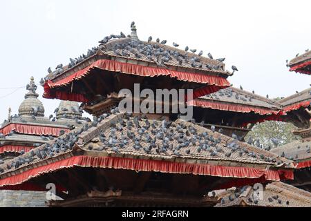 Tauben auf Dächern Tempel in Kathmandu Durbar Square in Nepal. Stockfoto