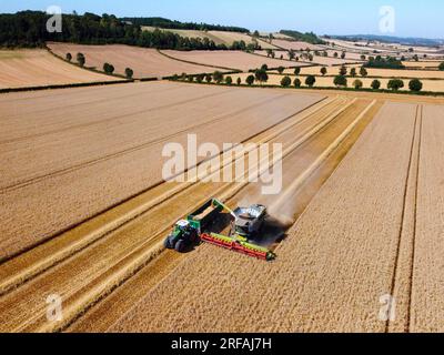 Luftaufnahme eines Mähdreschers, der in einer Landschaft von Weizenfeldern auf Ackerland in North Yorkshire im Vereinigten Königreich arbeitet. Stockfoto