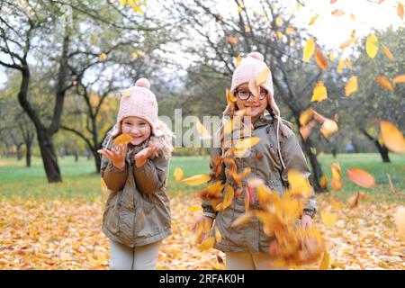 Zwei Zwillinge kotzen einen großen Arm voll Herbstblätter. Mädchen haben Spaß im Herbstpark. Horizontales Foto Stockfoto